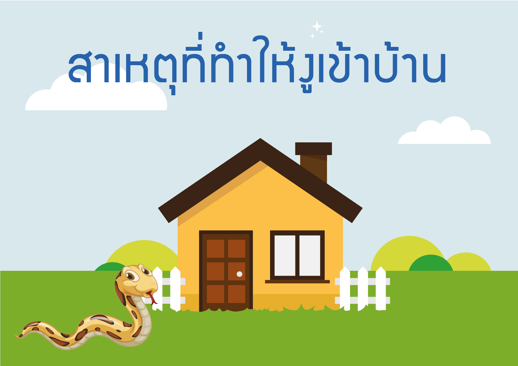 ป้องกันงูเข้าบ้านหน้าฝน - บทความ | vLIVING PRO ป้องกันงูเข้าบ้านหน้าฝน - บทความ | Vliving Pro